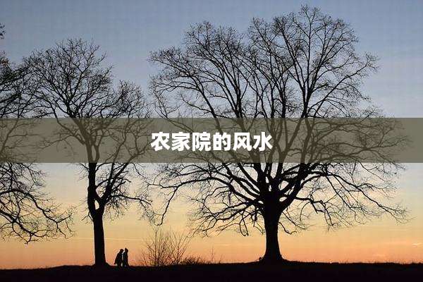 农家院的风水