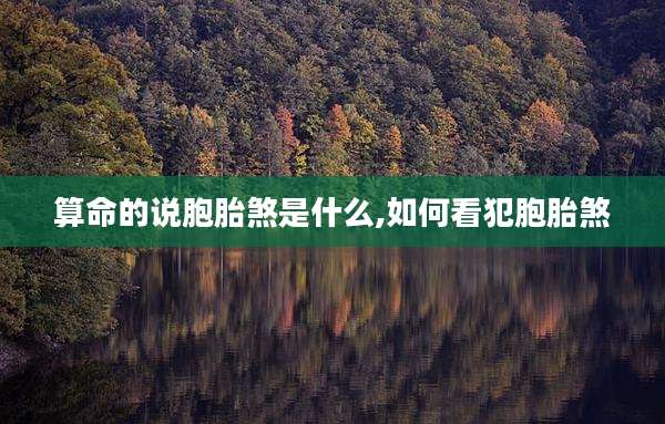 算命的说胞胎煞是什么,如何看犯胞胎煞