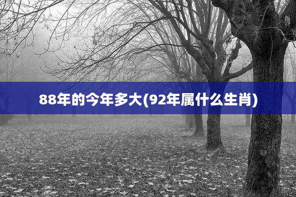 88年的今年多大(92年属什么生肖)