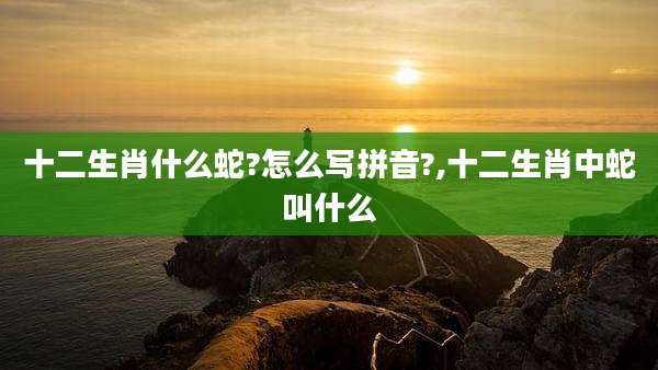 十二生肖什么蛇?怎么写拼音?,十二生肖中蛇叫什么
