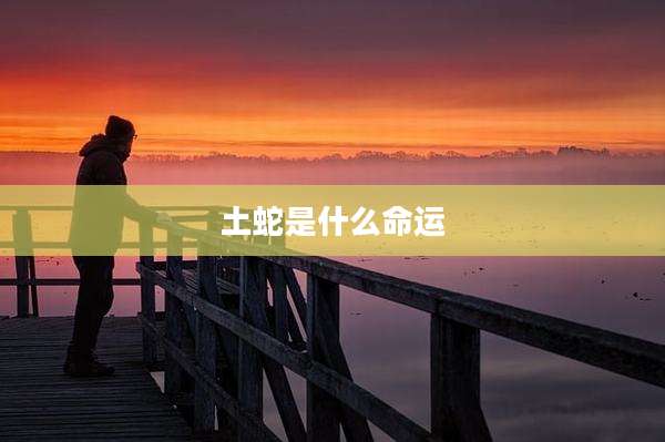 土蛇是什么命运