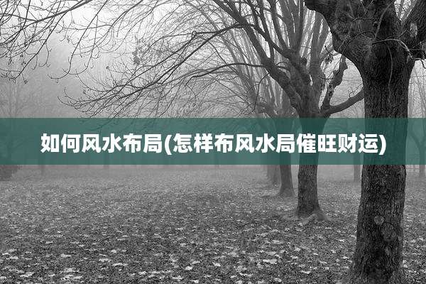 如何风水布局(怎样布风水局催旺财运)