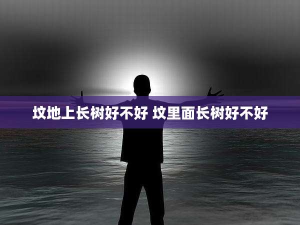 坟地上长树好不好 坟里面长树好不好