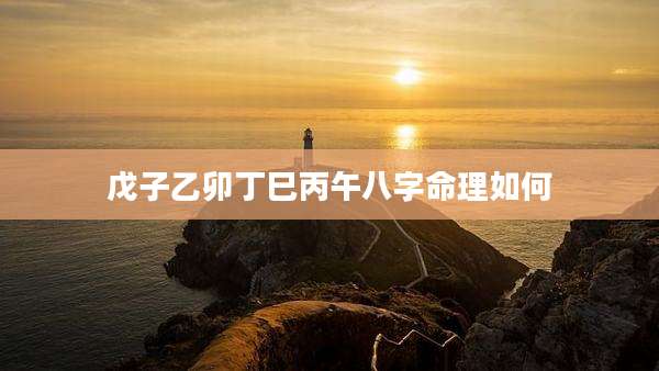 戊子乙卯丁巳丙午八字命理如何