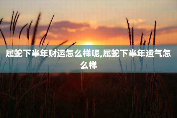 属蛇下半年财运怎么样呢,属蛇下半年运气怎么样