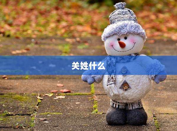 关姓什么