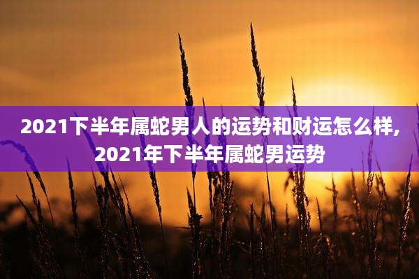 2021下半年属蛇男人的运势和财运怎么样,2021年下半年属蛇男运势