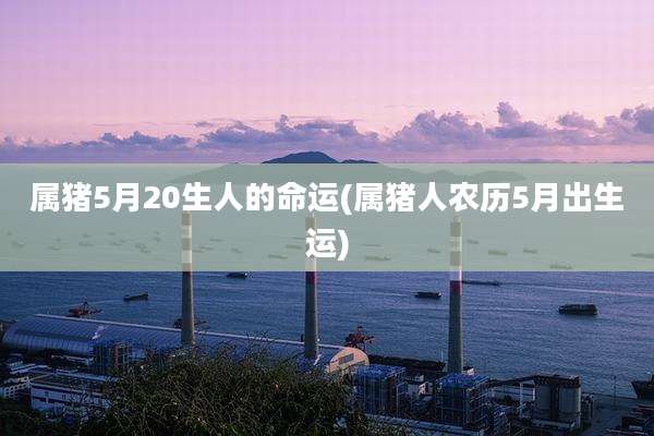 属猪5月20生人的命运(属猪人农历5月出生运)