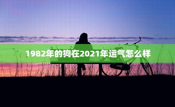 1982年的狗在2021年运气怎么样
