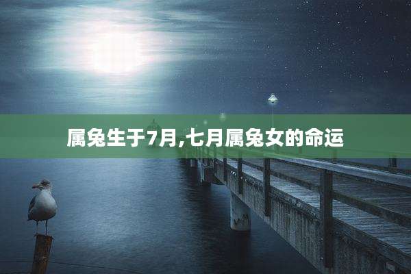 属兔生于7月,七月属兔女的命运