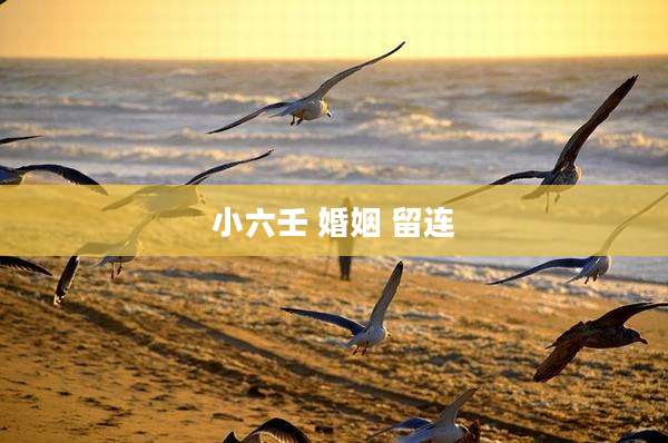 小六壬 婚姻 留连