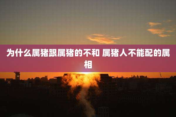 为什么属猪跟属猪的不和 属猪人不能配的属相
