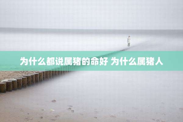 为什么都说属猪的命好 为什么属猪人