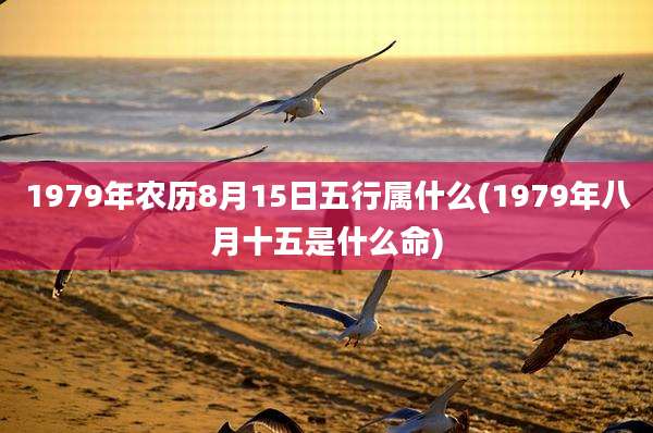 1979年农历8月15日五行属什么(1979年八月十五是什么命)