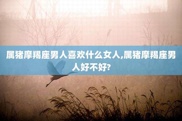 属猪摩羯座男人喜欢什么女人,属猪摩羯座男人好不好?