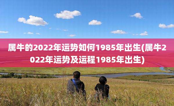 属牛的2022年运势如何1985年出生(属牛2022年运势及运程1985年出生)