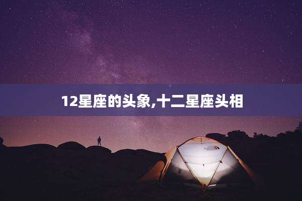 12星座的头象,十二星座头相
