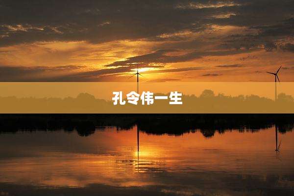 孔令伟一生