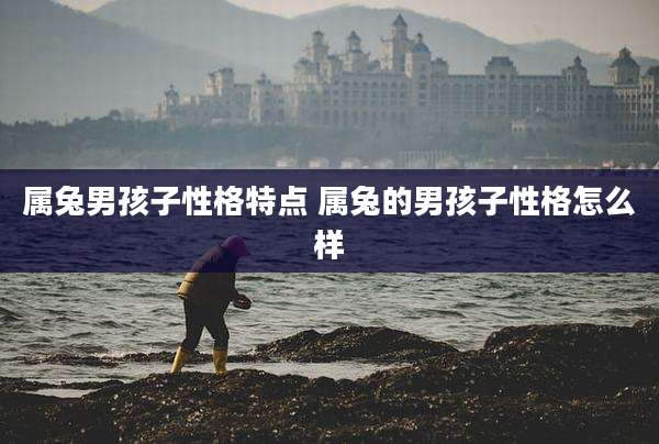 属兔男孩子性格特点 属兔的男孩子性格怎么样