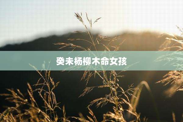 癸未杨柳木命女孩