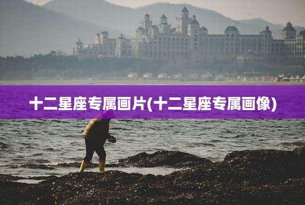 十二星座专属画片(十二星座专属画像)