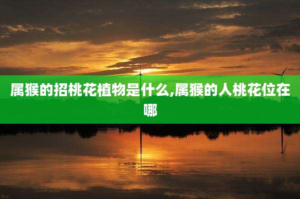 属猴的招桃花植物是什么,属猴的人桃花位在哪
