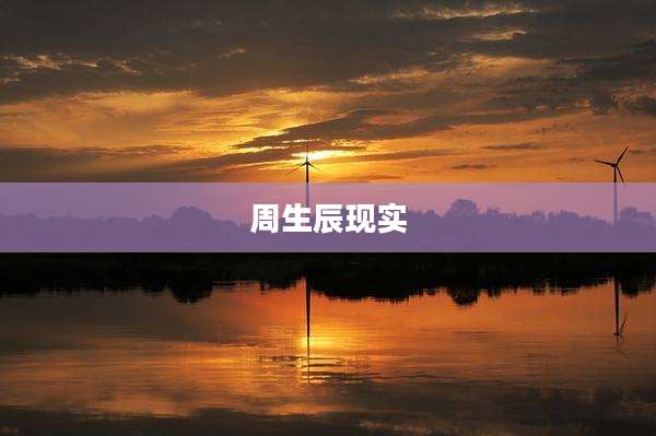 周生辰现实