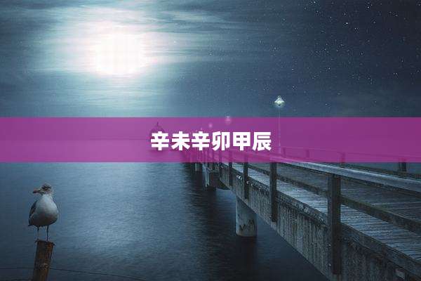 辛未辛卯甲辰