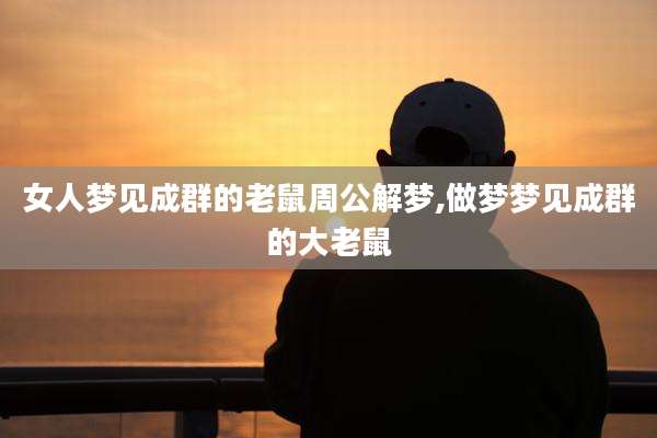 女人梦见成群的老鼠周公解梦,做梦梦见成群的大老鼠