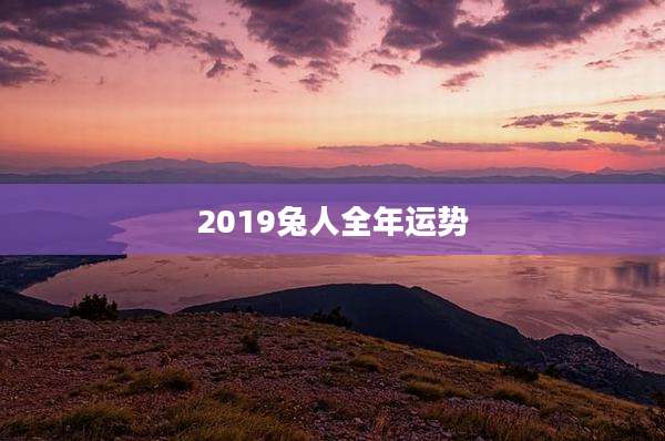 2019兔人全年运势