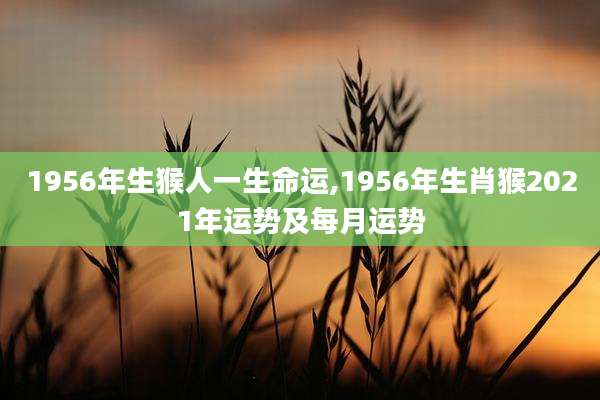 1956年生猴人一生命运,1956年生肖猴2021年运势及每月运势