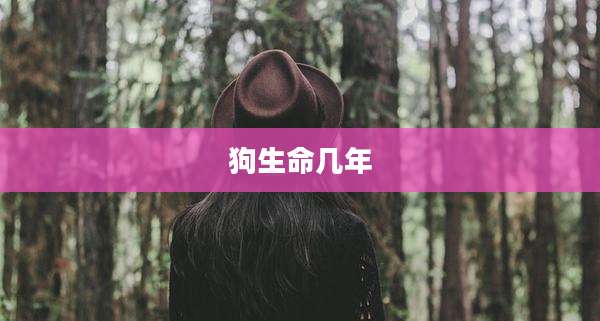 狗生命几年