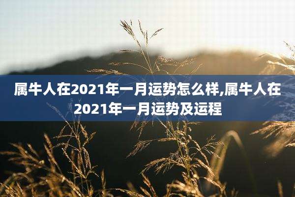 属牛人在2021年一月运势怎么样,属牛人在2021年一月运势及运程