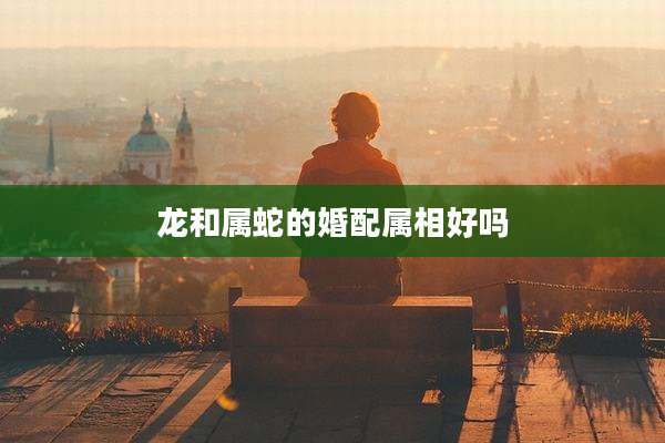 龙和属蛇的婚配属相好吗