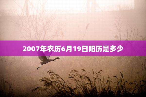 2007年农历6月19日阳历是多少
