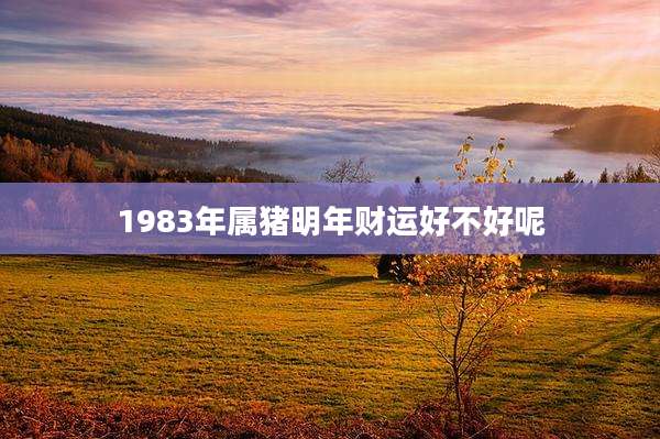 1983年属猪明年财运好不好呢