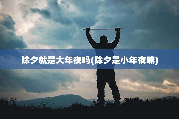 除夕就是大年夜吗(除夕是小年夜嘛)