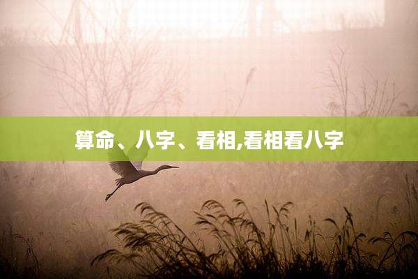 算命、八字、看相,看相看八字