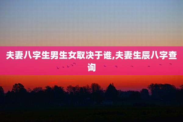 夫妻八字生男生女取决于谁,夫妻生辰八字查询