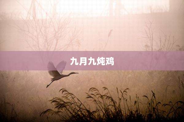 九月九炖鸡