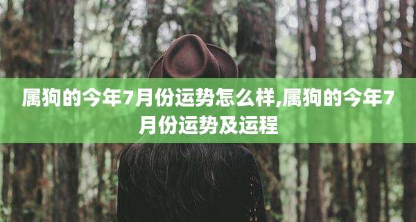 属狗的今年7月份运势怎么样,属狗的今年7月份运势及运程