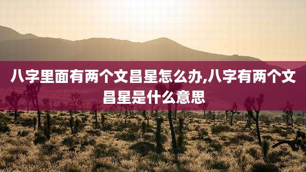 八字里面有两个文昌星怎么办,八字有两个文昌星是什么意思