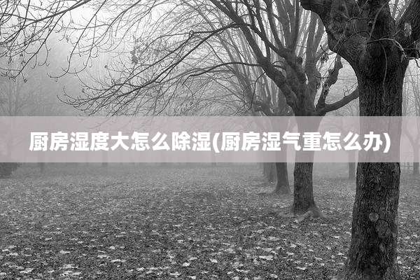 厨房湿度大怎么除湿(厨房湿气重怎么办)