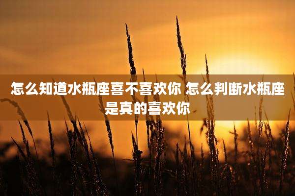 怎么知道水瓶座喜不喜欢你 怎么判断水瓶座是真的喜欢你