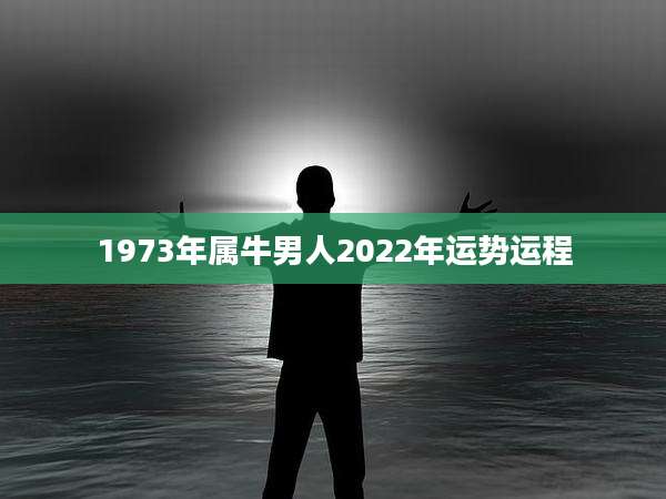 1973年属牛男人2022年运势运程