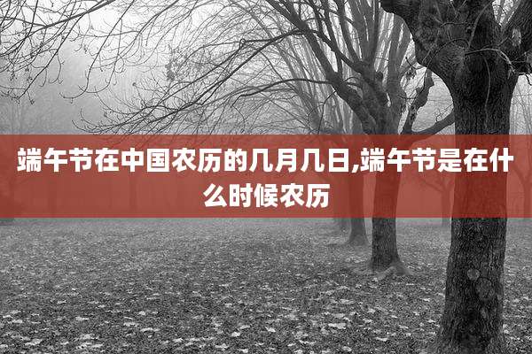 端午节在中国农历的几月几日,端午节是在什么时候农历