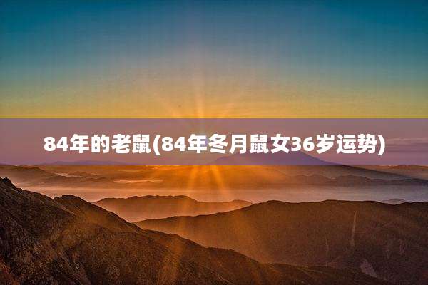 84年的老鼠(84年冬月鼠女36岁运势)