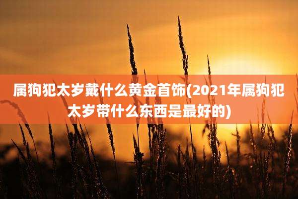 属狗犯太岁戴什么黄金首饰(2021年属狗犯太岁带什么东西是最好的)