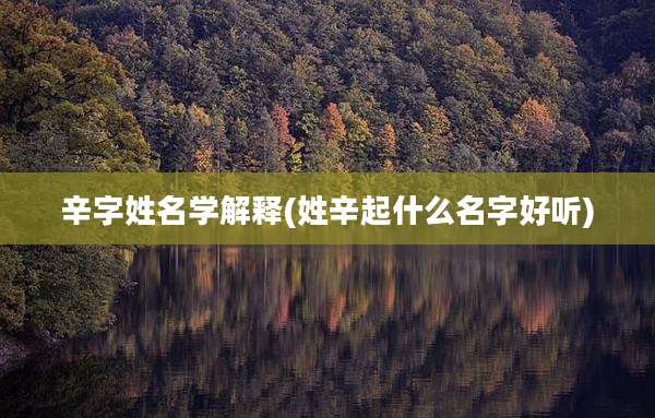 辛字姓名学解释(姓辛起什么名字好听)