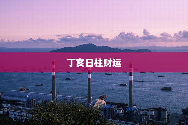丁亥日柱财运